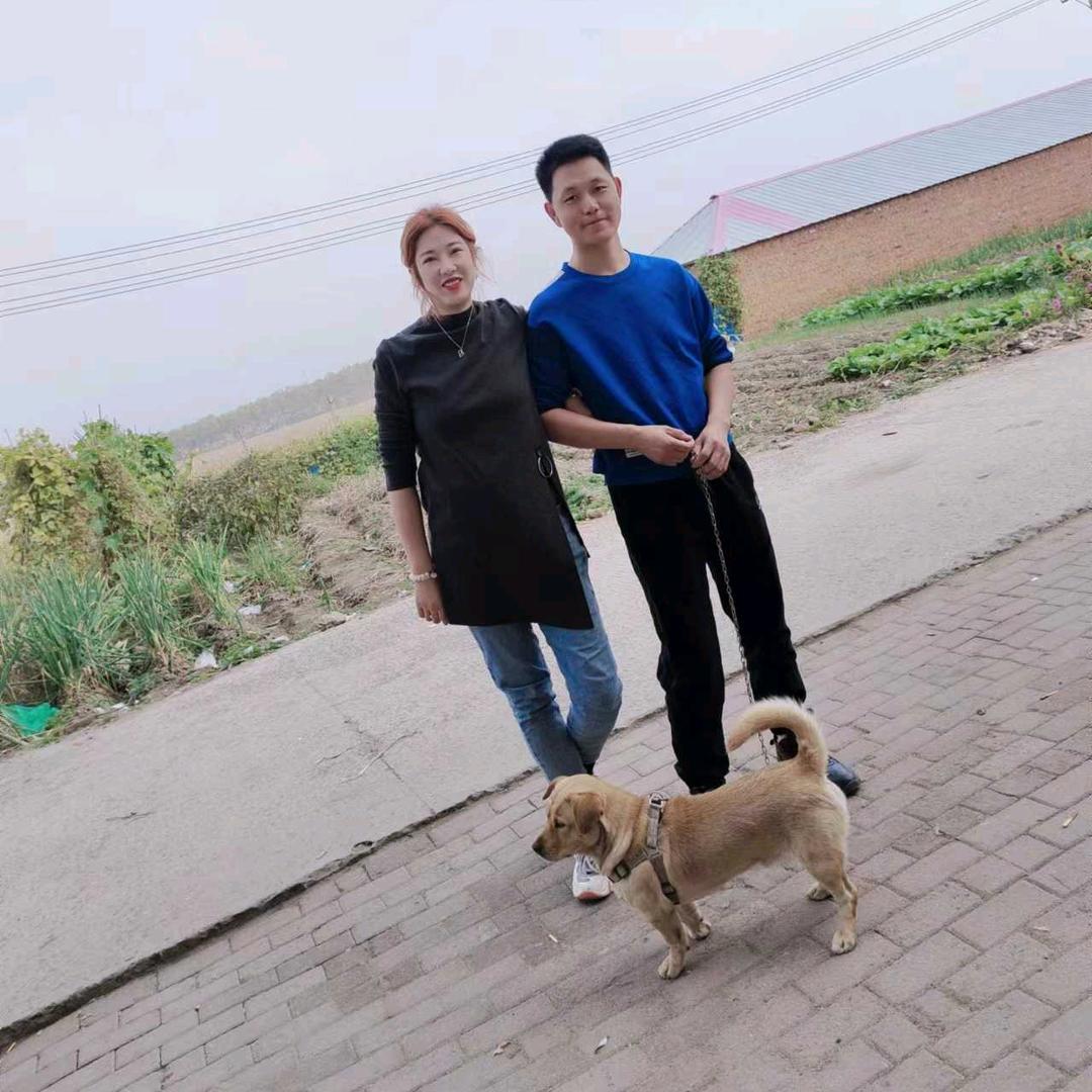 北城以北，很冷