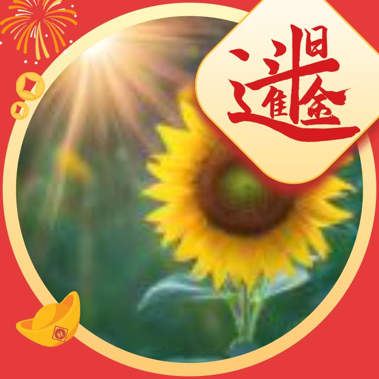 吉祥天使