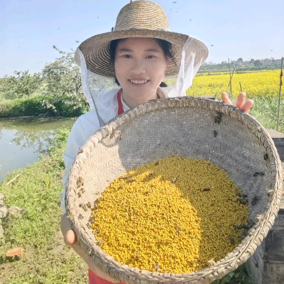 养蜂妹（英子）