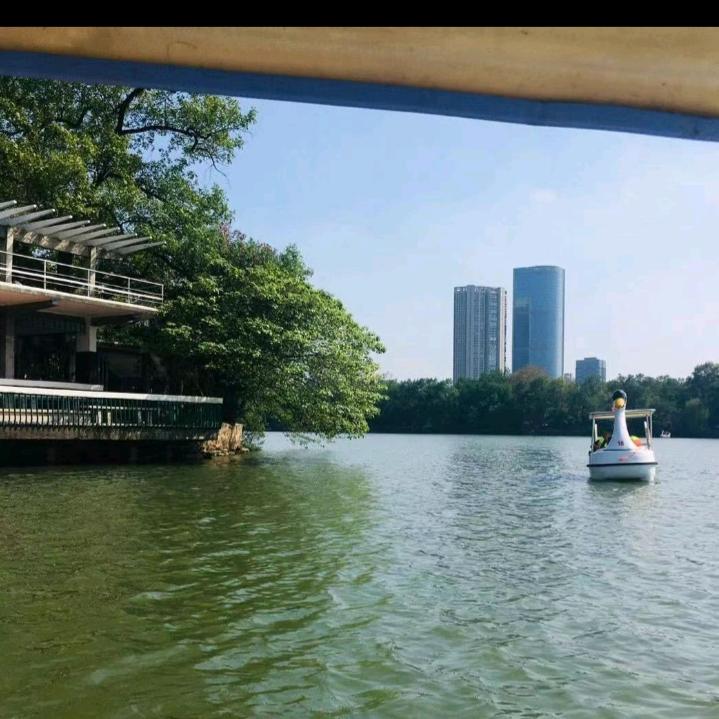 人生