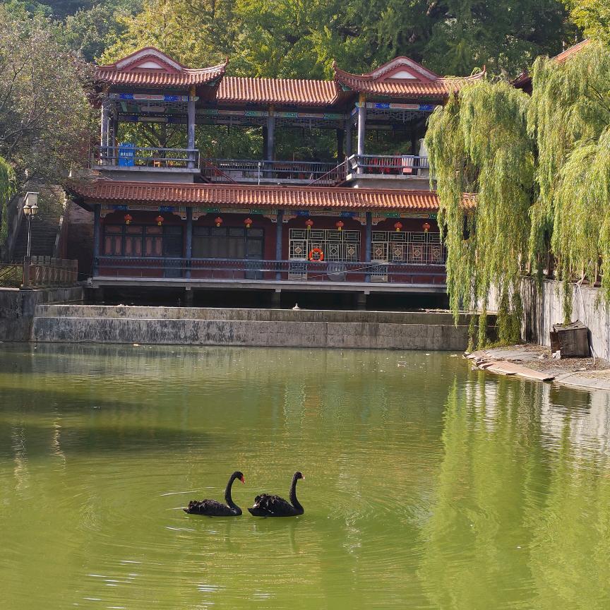 记忆的窗景