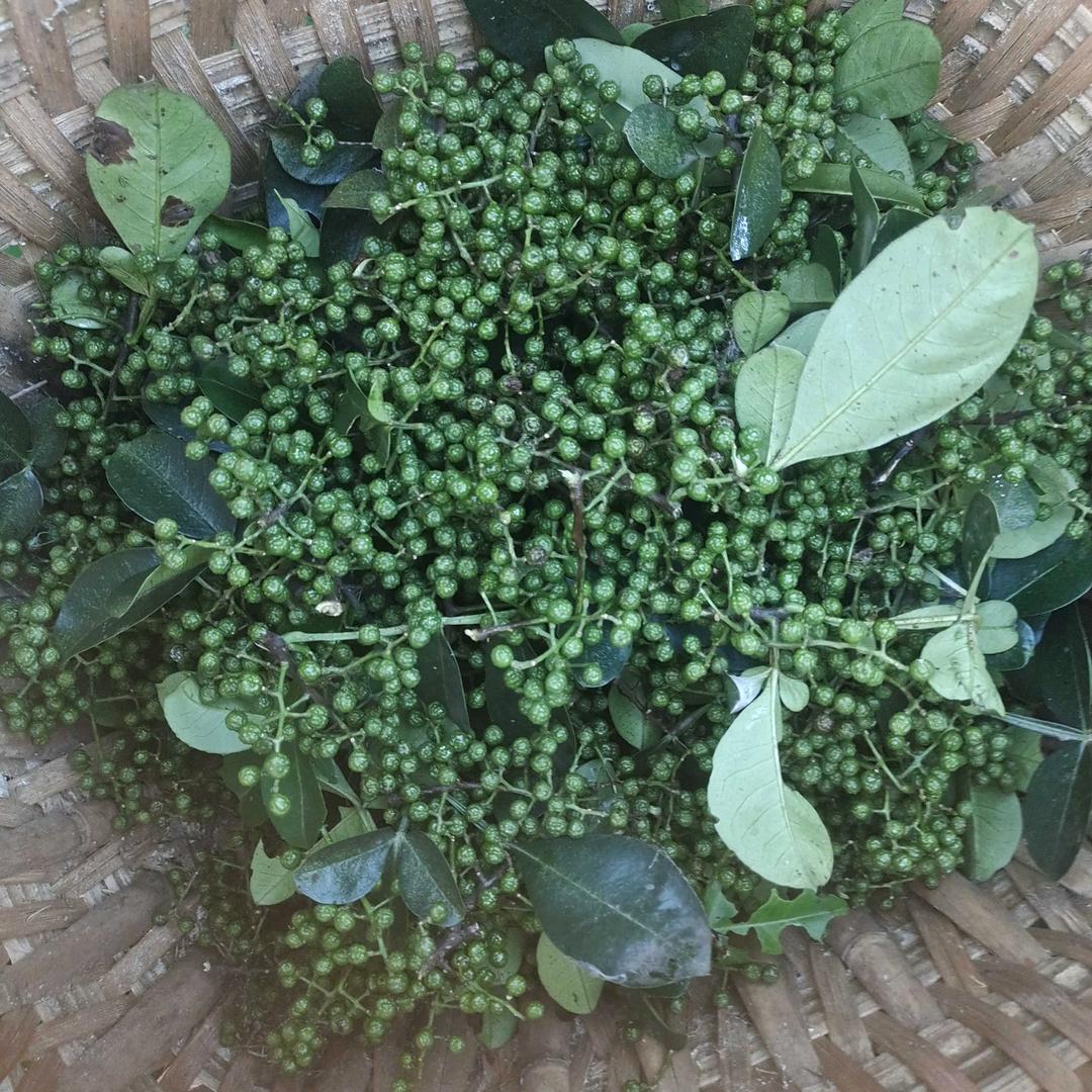 从头再来单亲妈妈