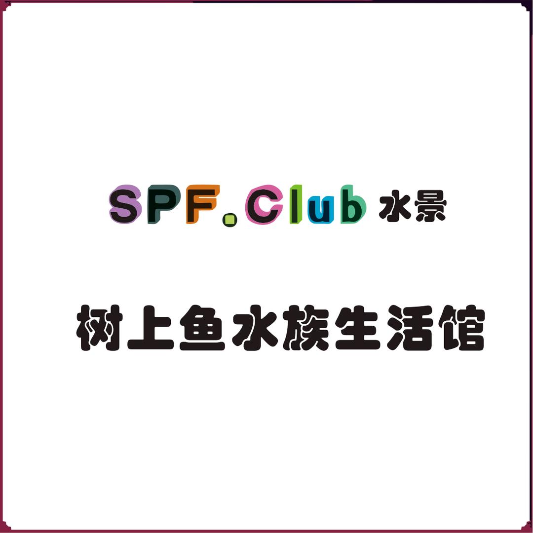 一学就会、干啥都废