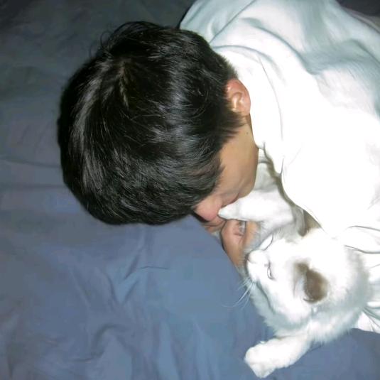 欧文（自家德文~）