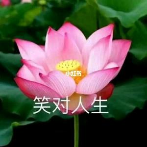 瑾钰