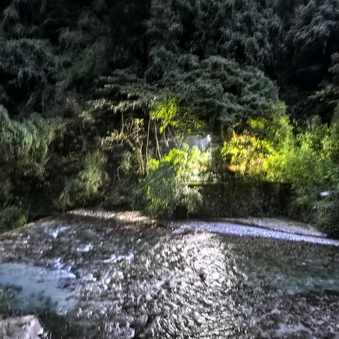 迷11