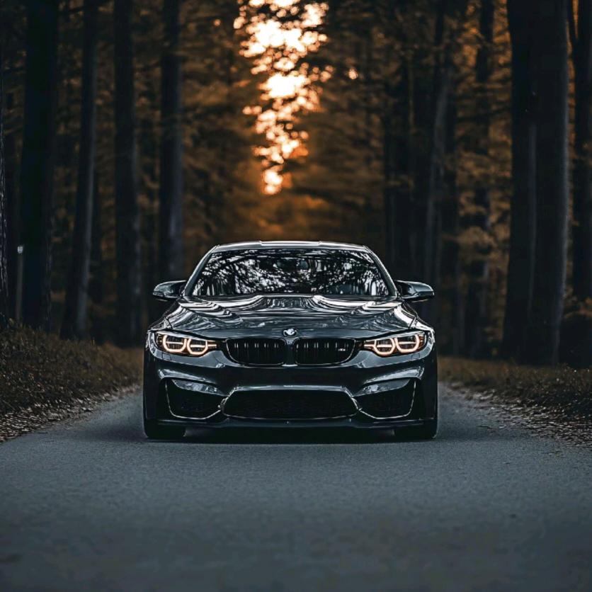 黑夜尚到何虑天明