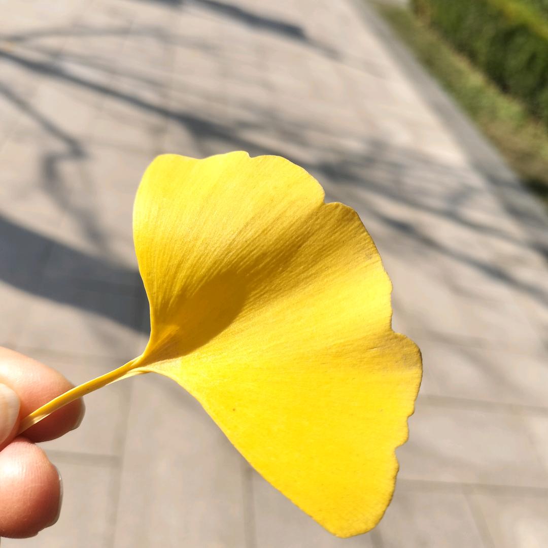 阳光总在风雨后