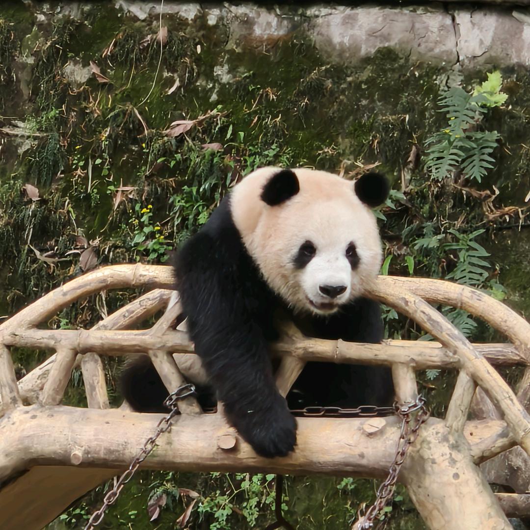 喜英子