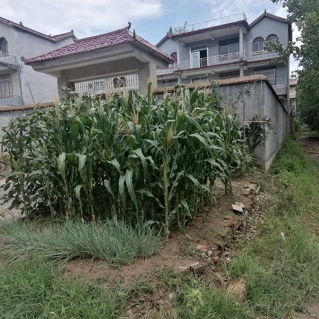 韩明彬