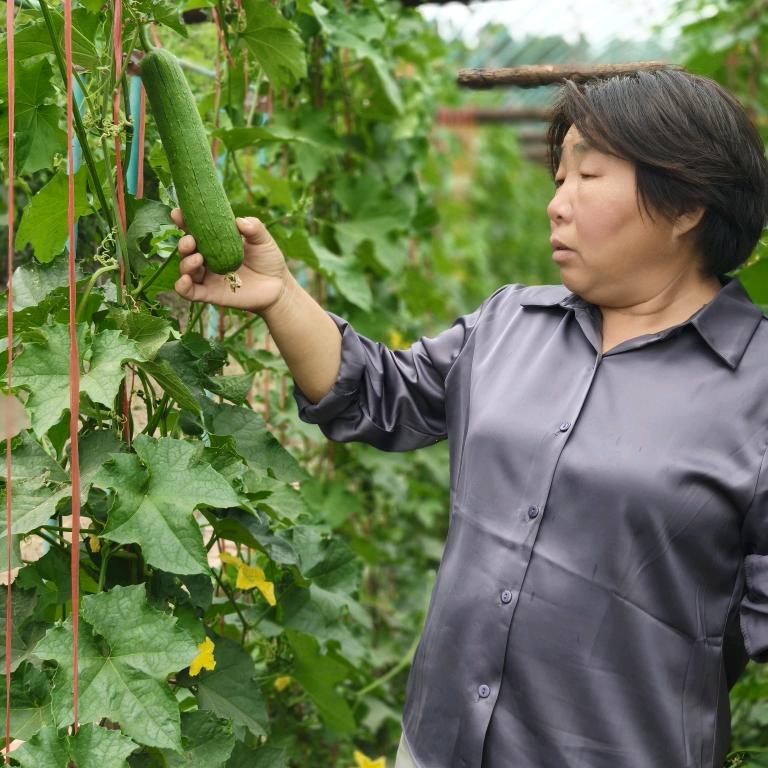 绿色田园苹姐
