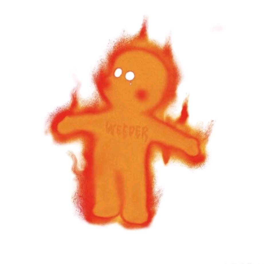 🔥🦔