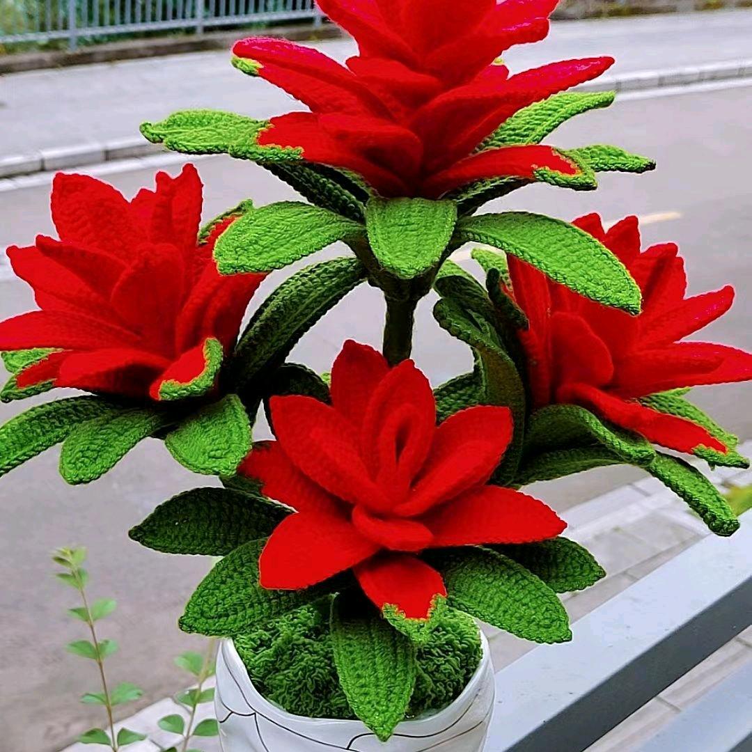 春天🌹🌹