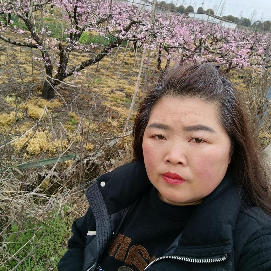 朱四姐