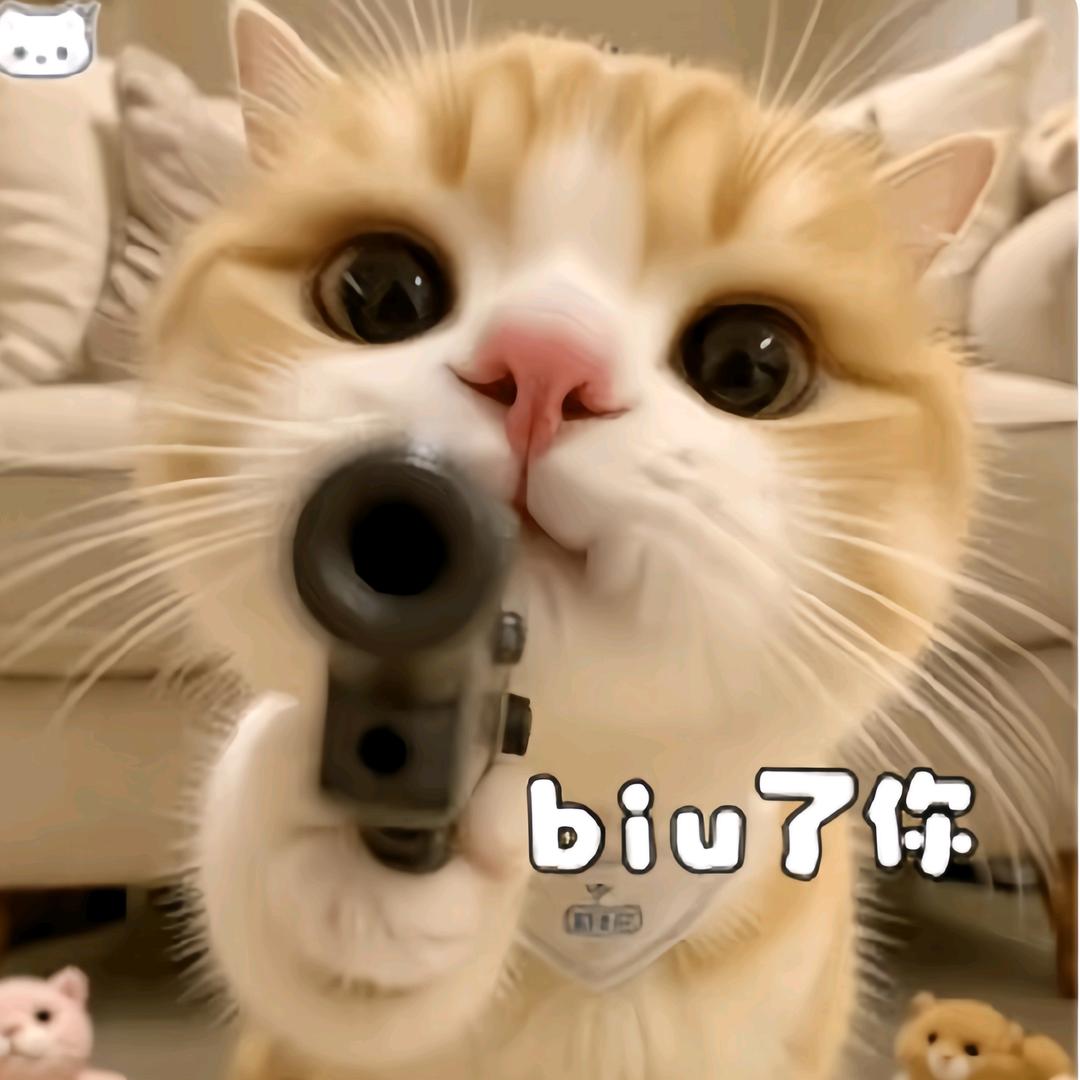 小宝~