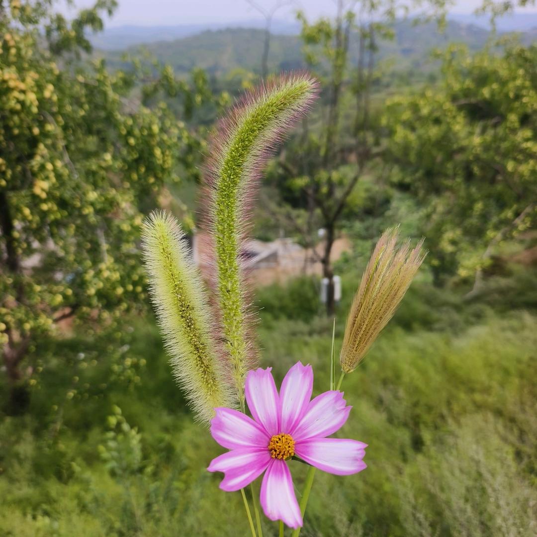 余生不将就