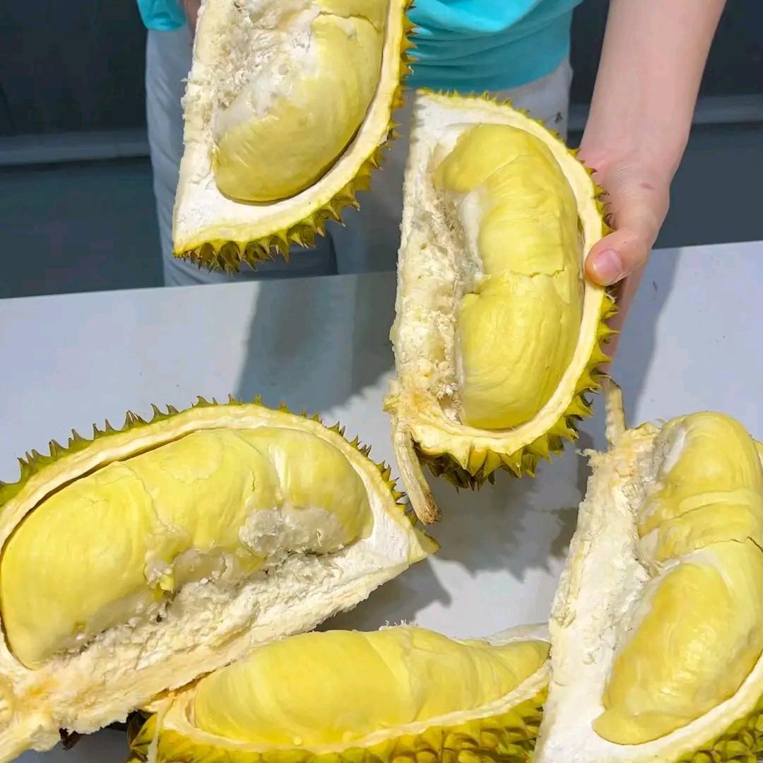 潜龙勿用-