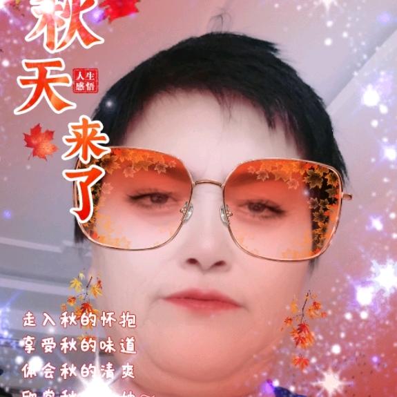 62230216719