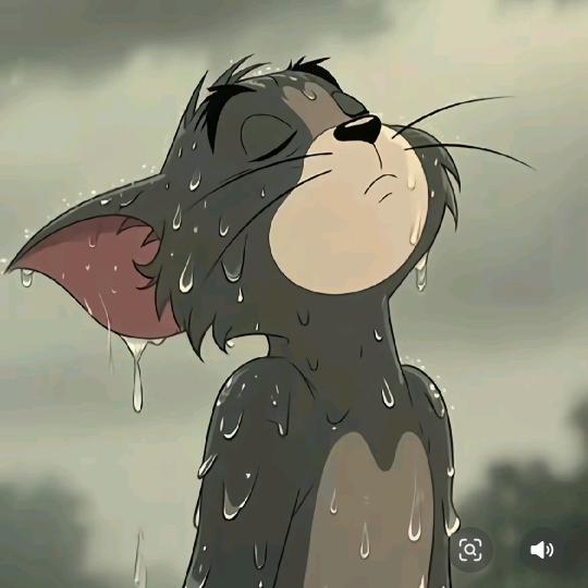 玻璃渣里找糖吃