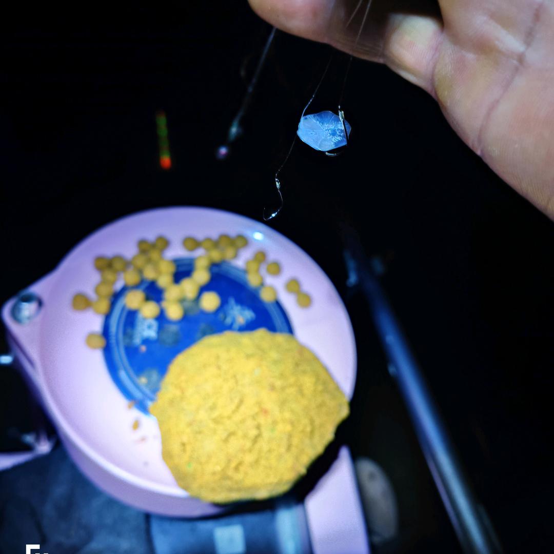 茅鱼大师♥♥♥♥