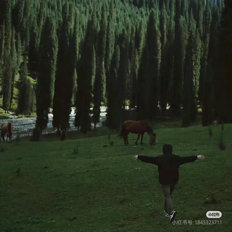 爱买西瓜的L