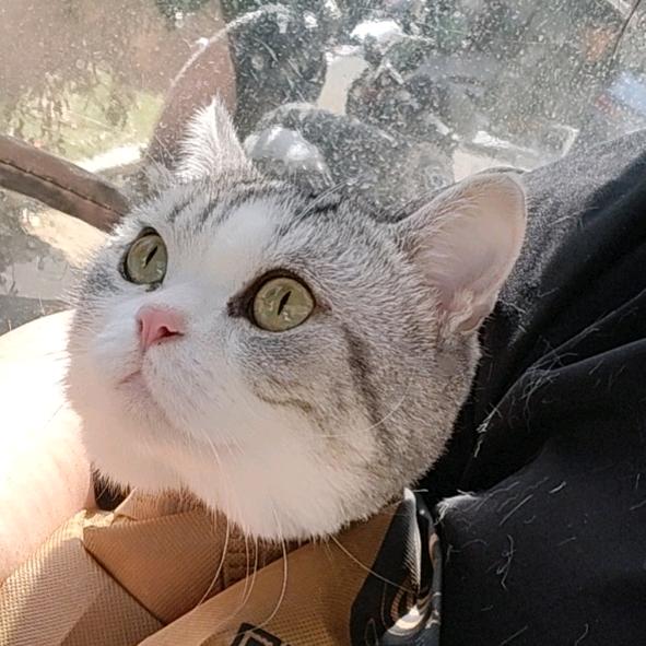 ♥妈的、又是干客服的一天