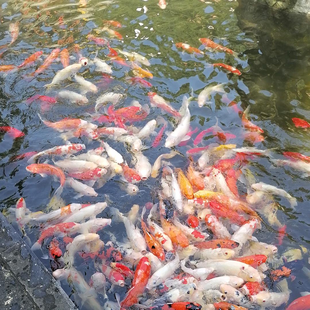 厚德载物😊