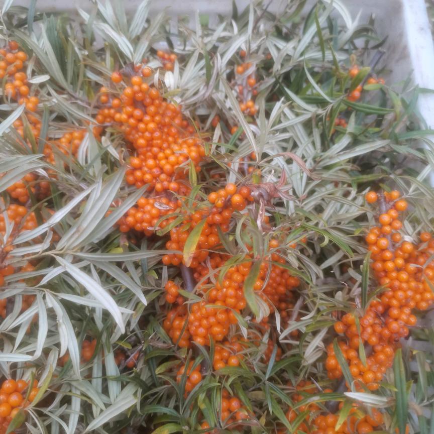 @我爱我家……