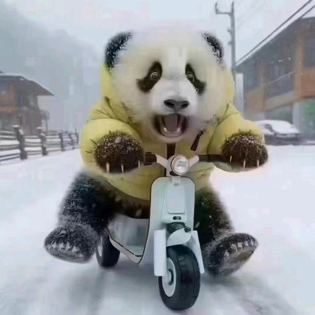 梦圆