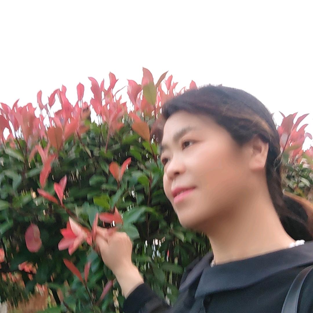 五姐