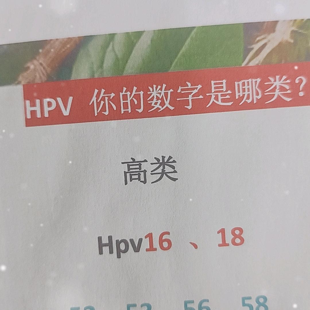 Hp.v助力陈文