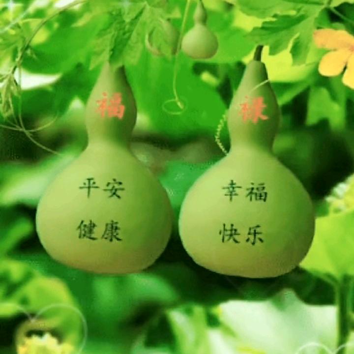 萧县梅姐