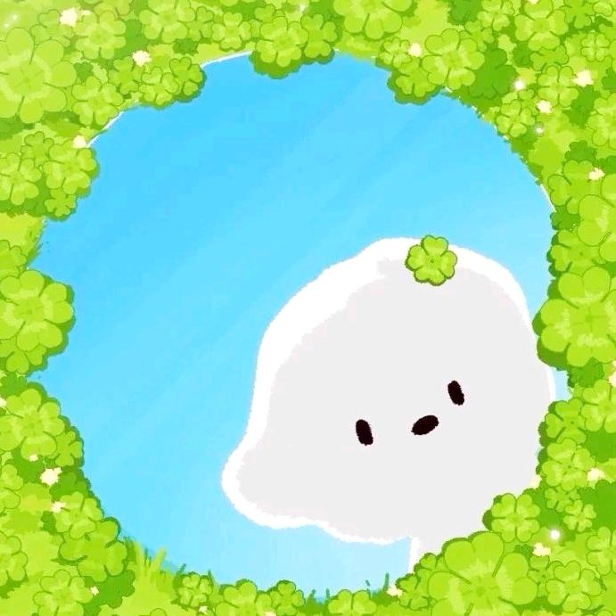 不追小兔🐰