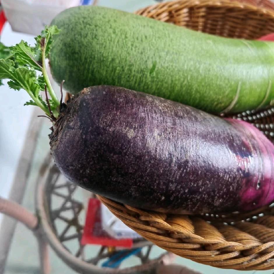 博彤农业（潍坊固堤西瓜，萝卜）