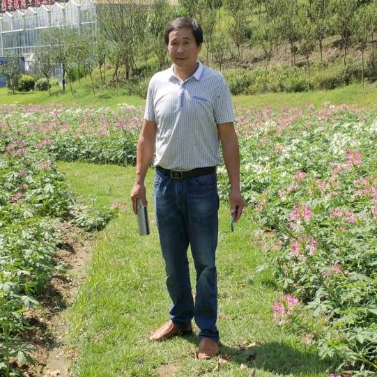 王存