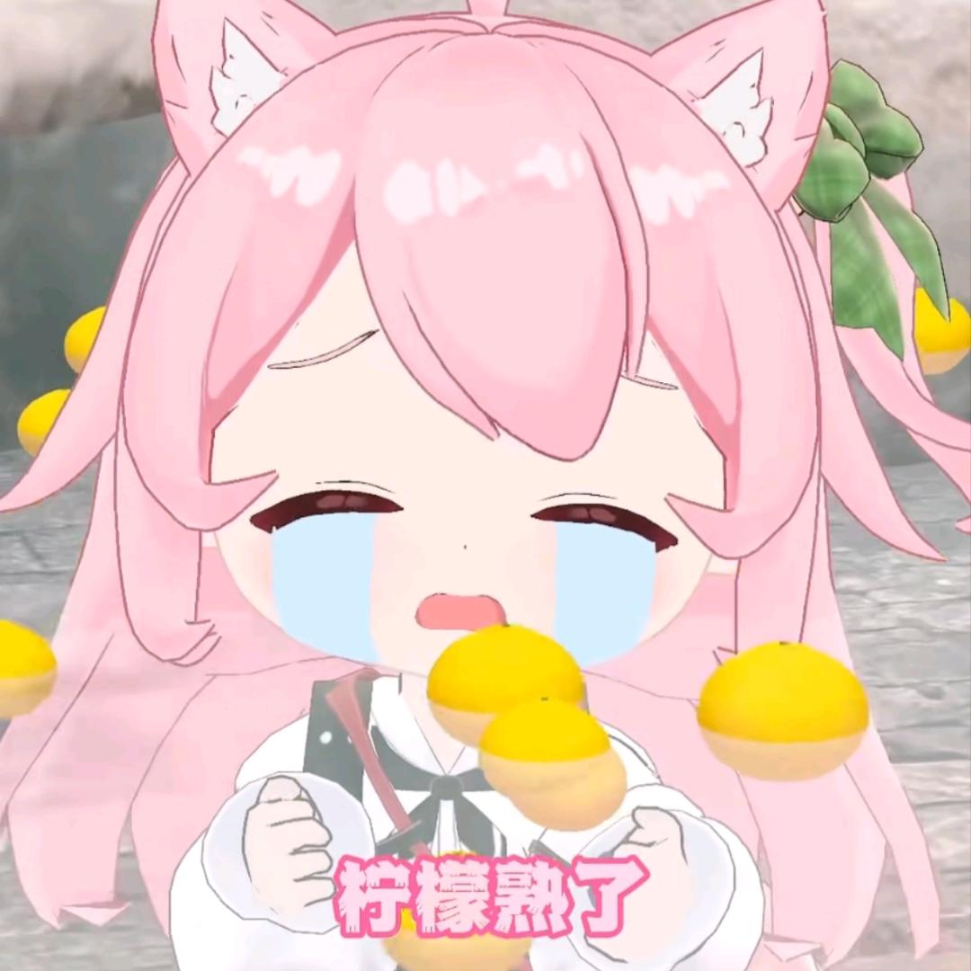 柠檬🍋熟了