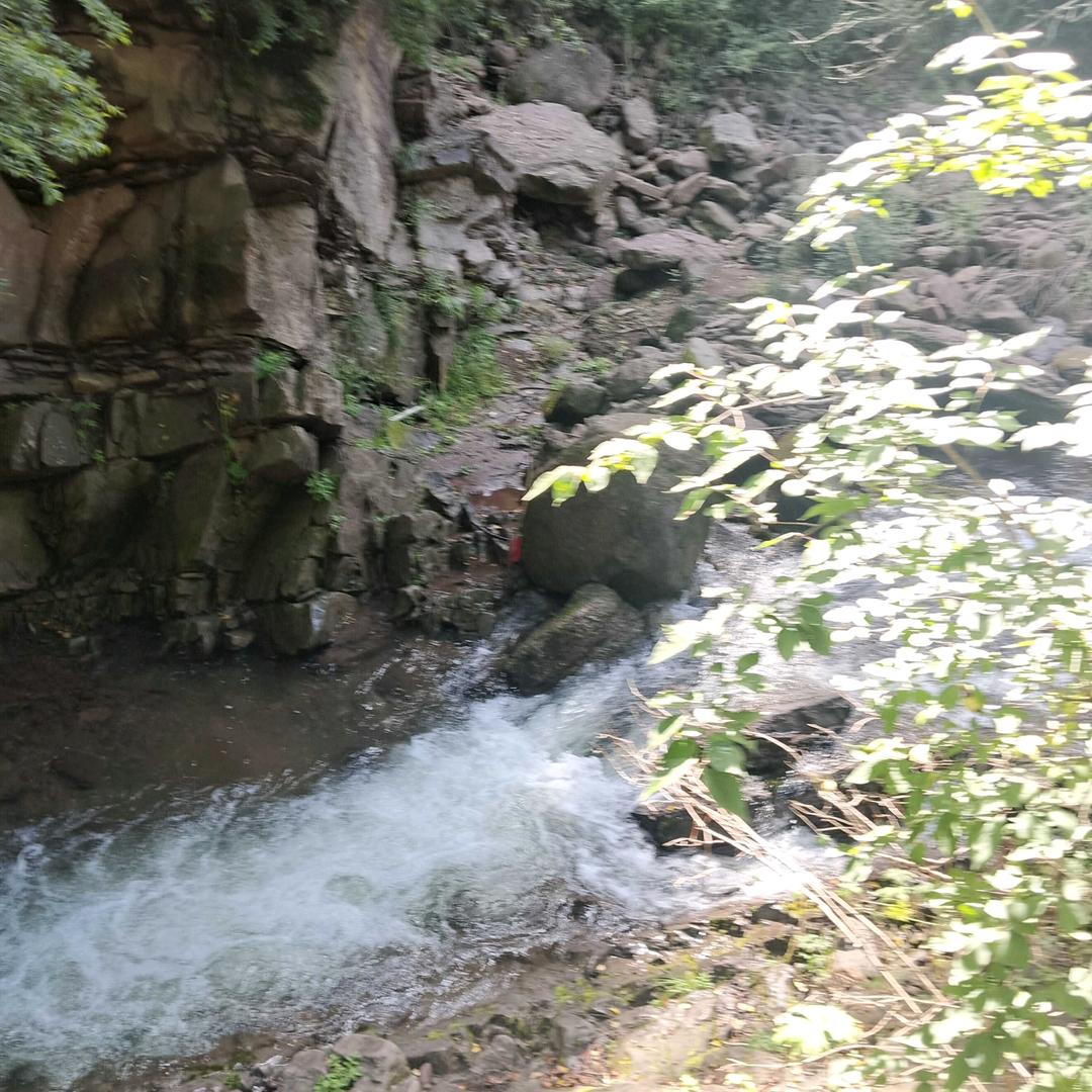 流浪汉！李建刚