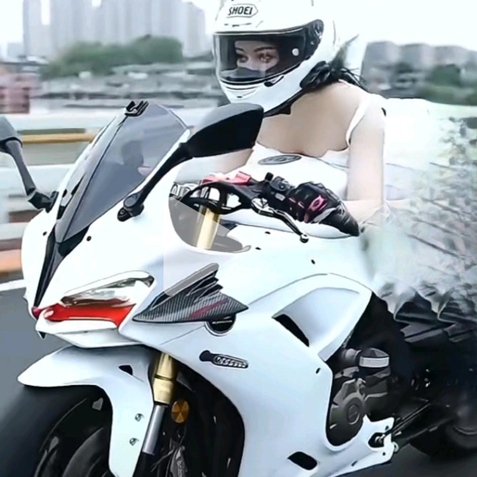 走自己的路,让别人无路可走
