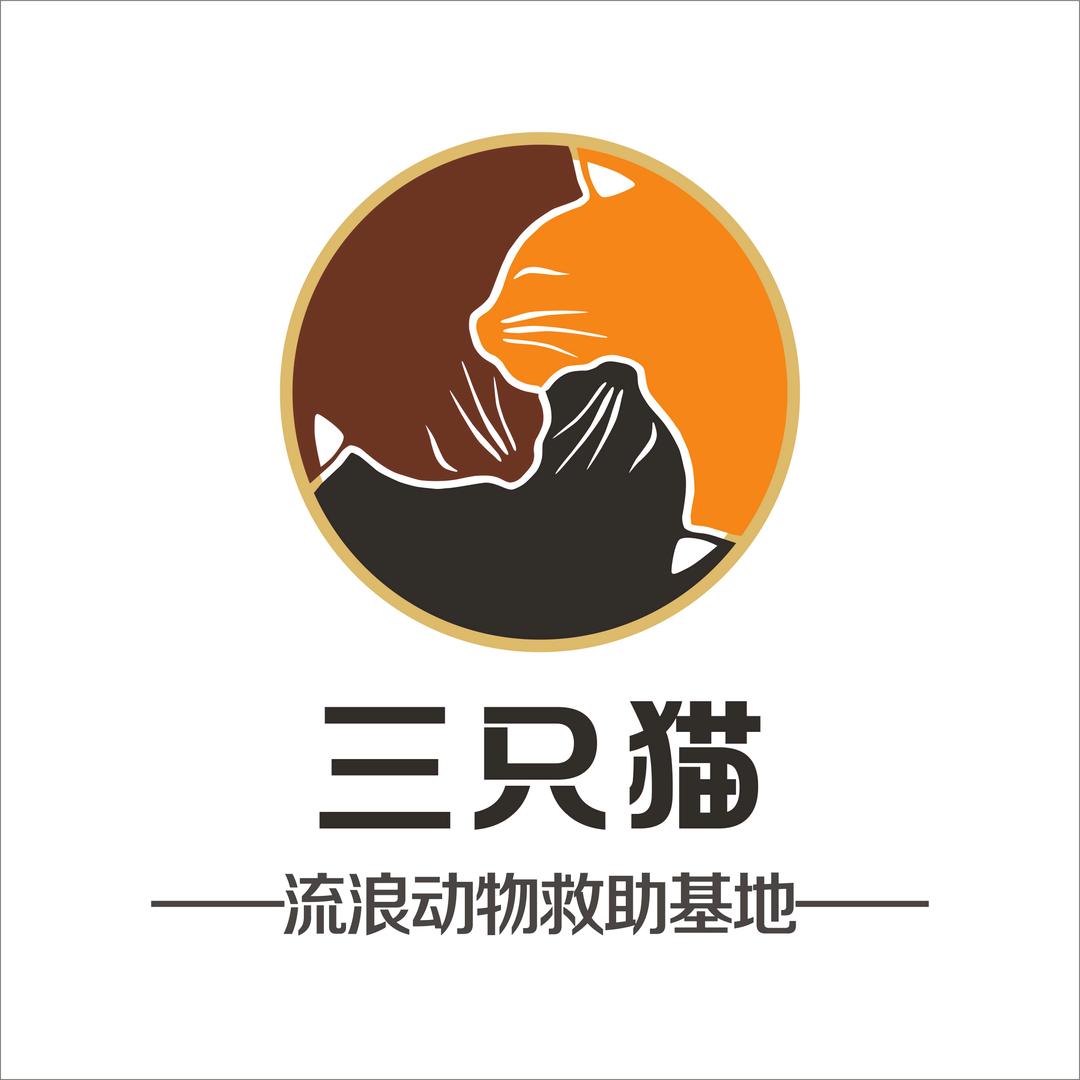 保尔.柯察金的跟班