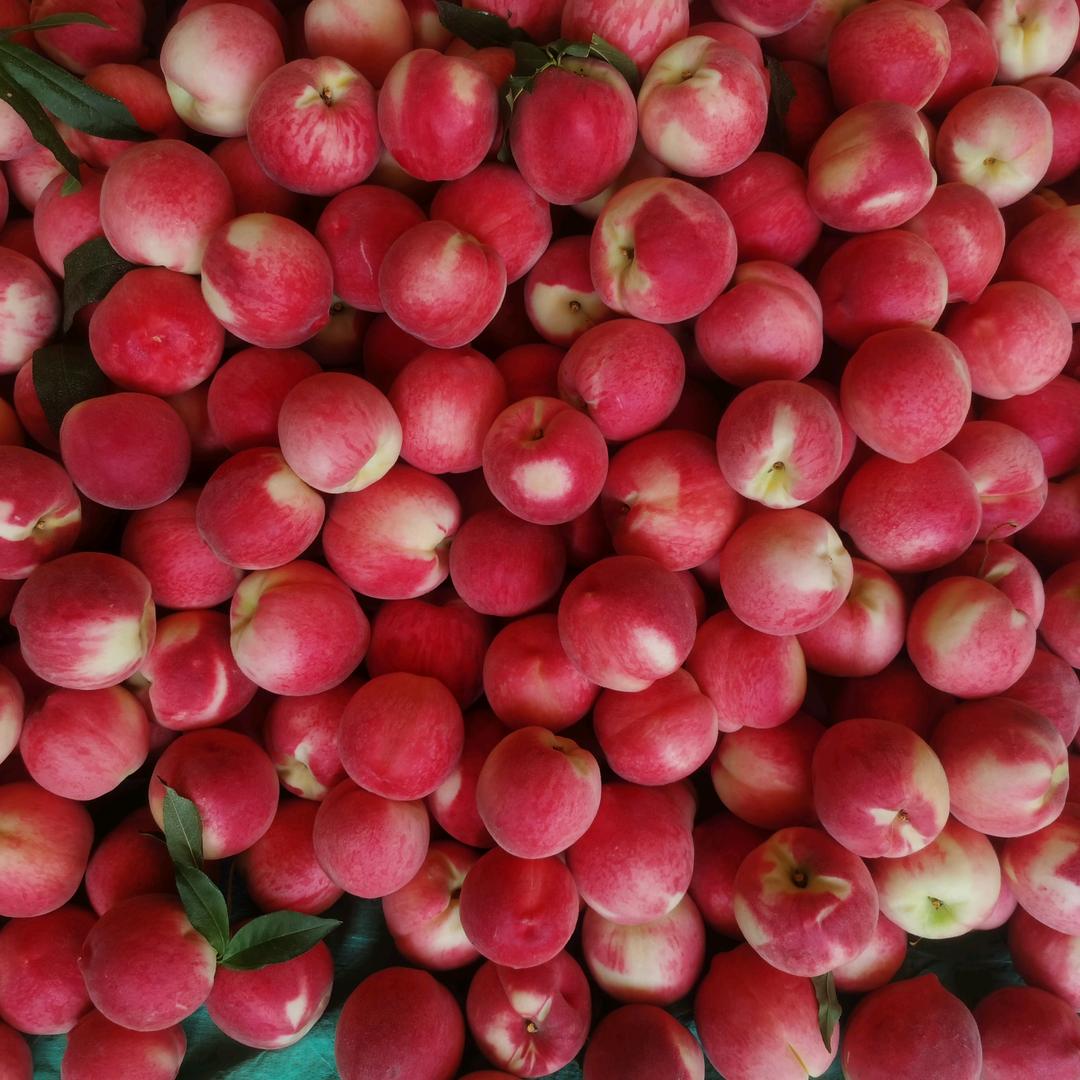 甘肃👉地摊哥🗣