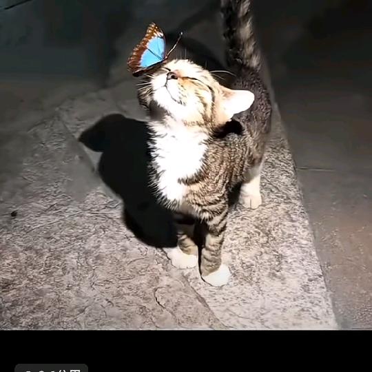 自己的幸福自己选