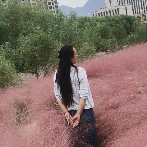 大宝和小宝的妈妈