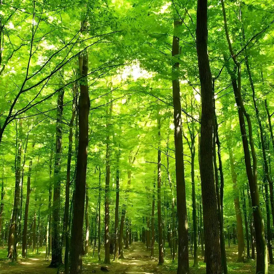 滦州市光哥整装