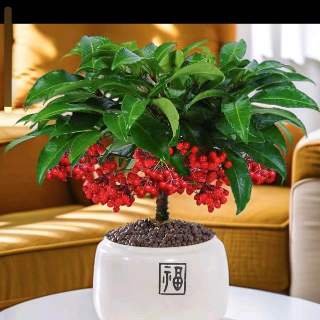 好物分享记得关注