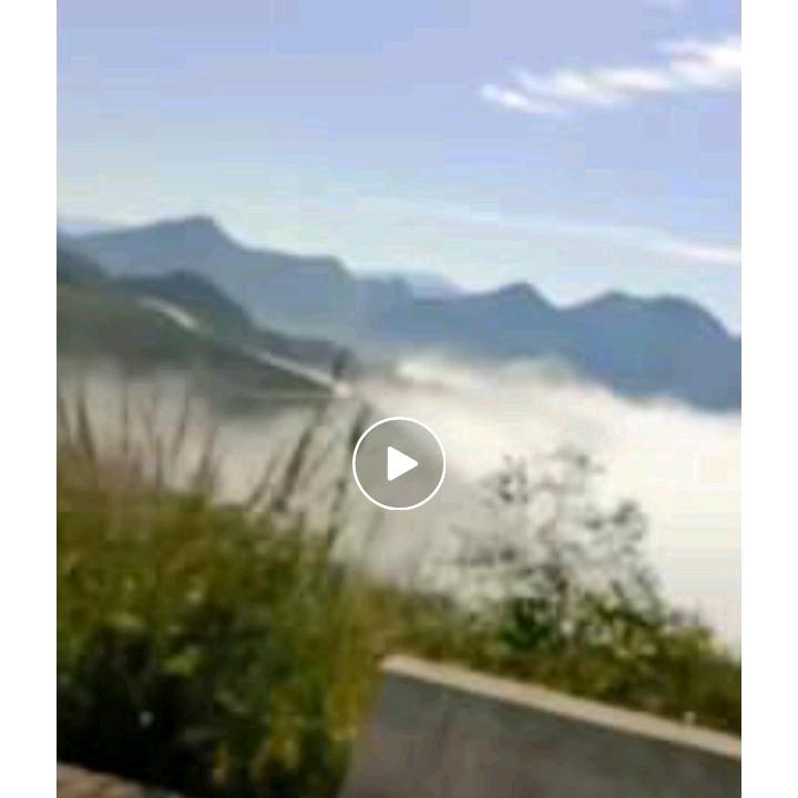 用户895078038117