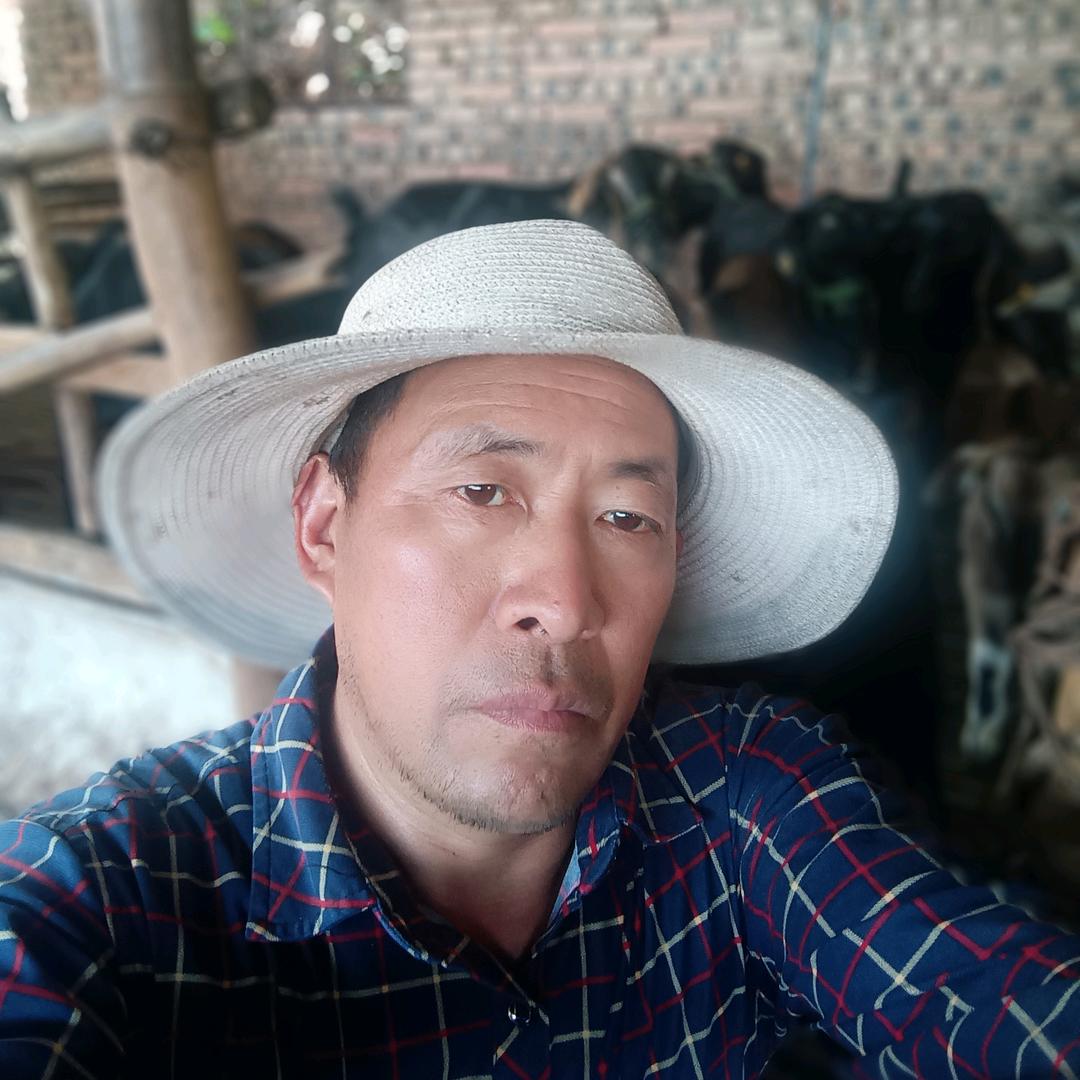 飞翔忘掉一切