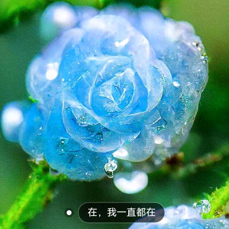 笑淏