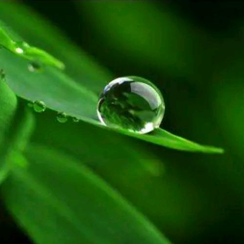 癸 水