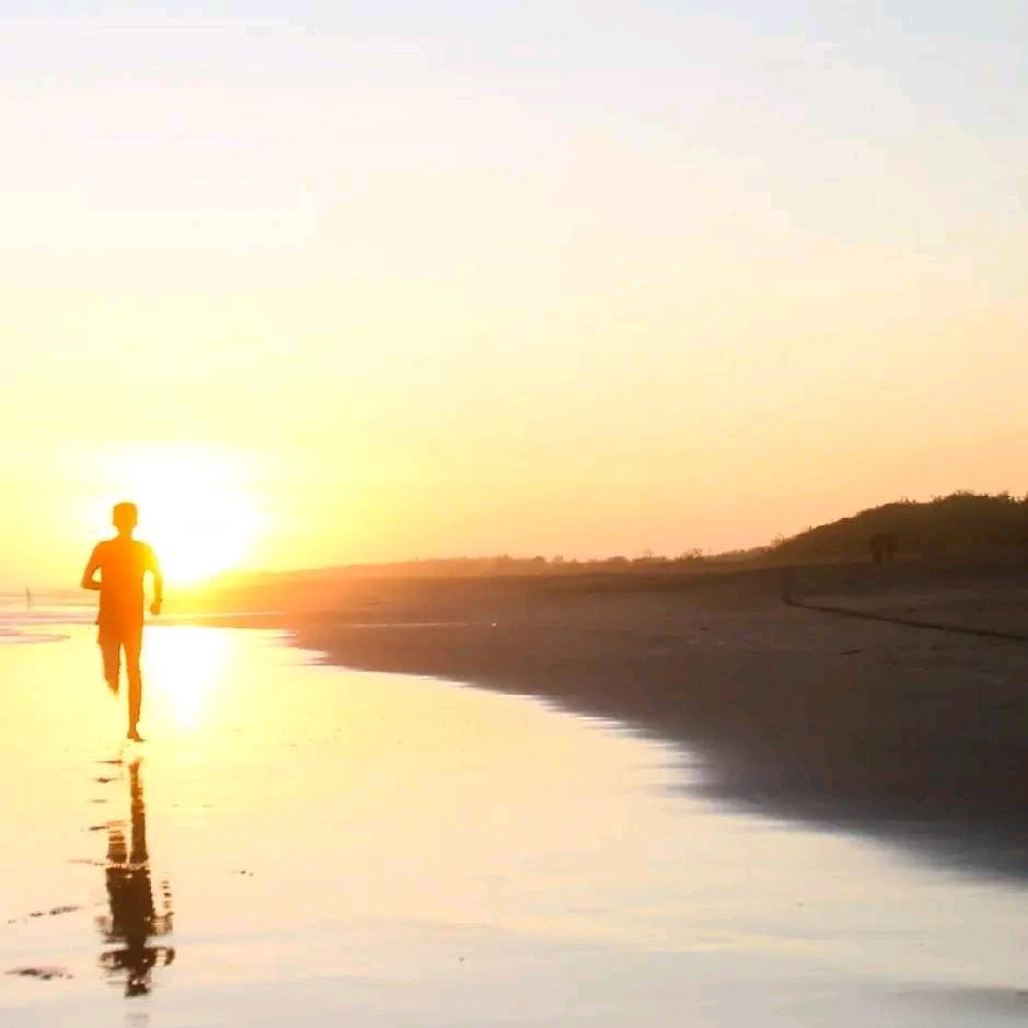 甲之由