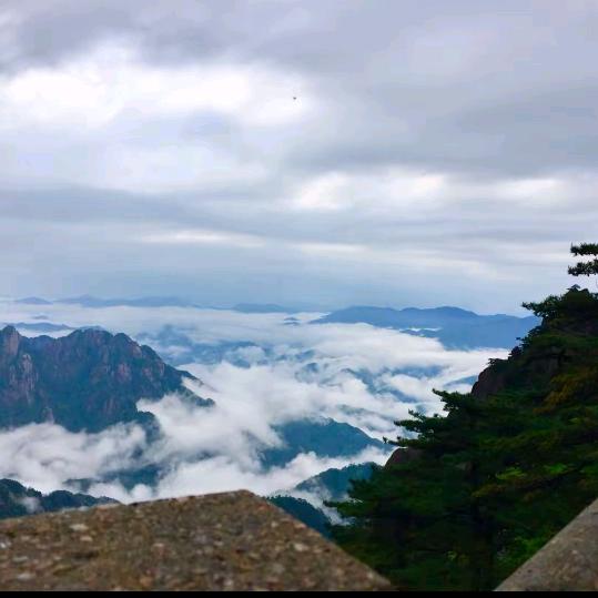 漫游者